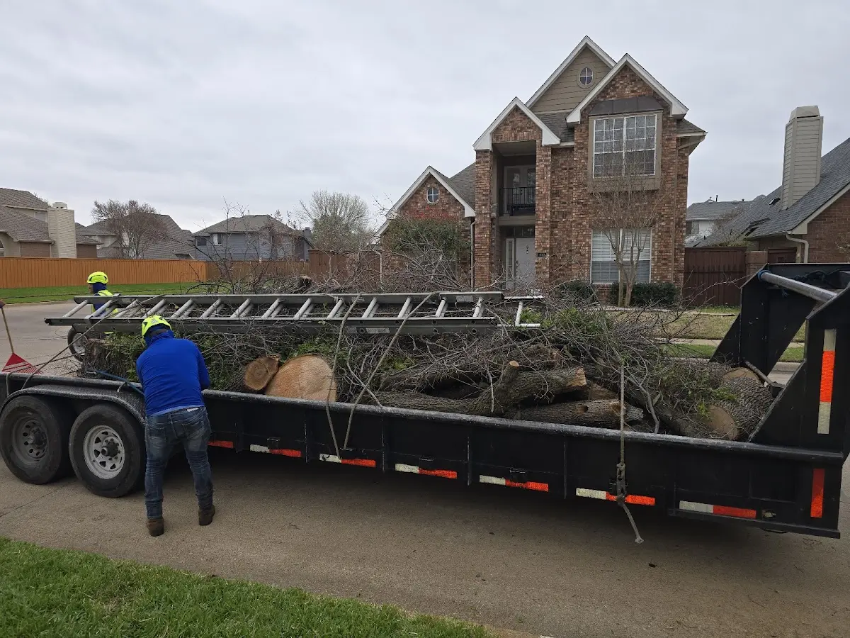 Expert Tree Pest Control with proper safety equipment in Mancelona